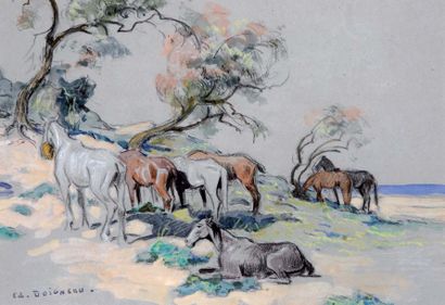Edouard DOIGNEAU (1865-1954) Chevaux au repos Aquarelle, signée du cachet de l'atelier...