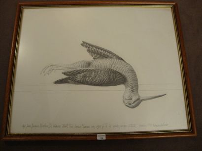 Edouardo LUIZ Bécasse Crayon sur papier, dédicacé et daté 1988 Dim. 29,5 x 23 cm