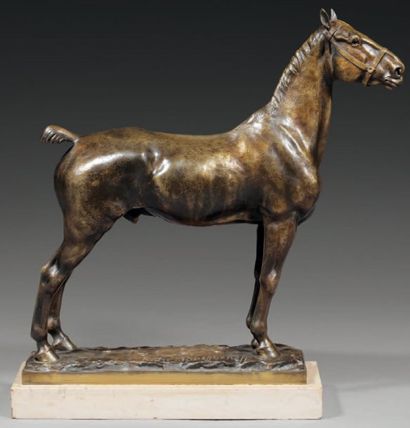Pierre Nicolas TOURGUENNEFF (1854-1912) Cheval anglais Bronze à patine brune nuancée...