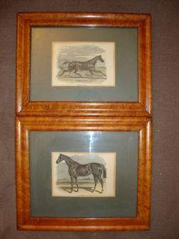null American Trotter Race Horse Paire de gravures en couleur encadrées Dim. 11 x...