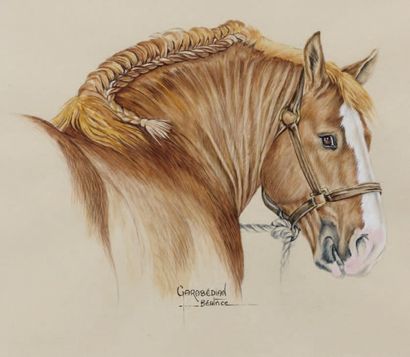 Béatrice GARABEDIAN Cheval de trait breton Aquarelle sur papier signée en bas au...