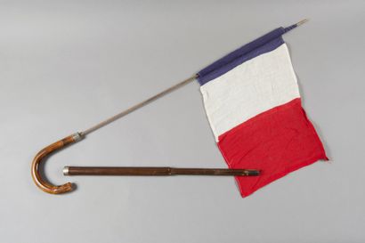 null Canne de patriote, drapeau français.