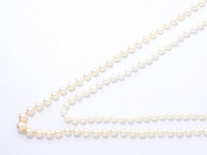 null Lot composé de 2 colliers ornés d'un rang de perles de culture d'environ 5.7...