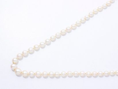 null Lot composé d'un rang de 63 perles de culture d'environ 4.1 à 9.4 mm. A renfiler.
Poids...