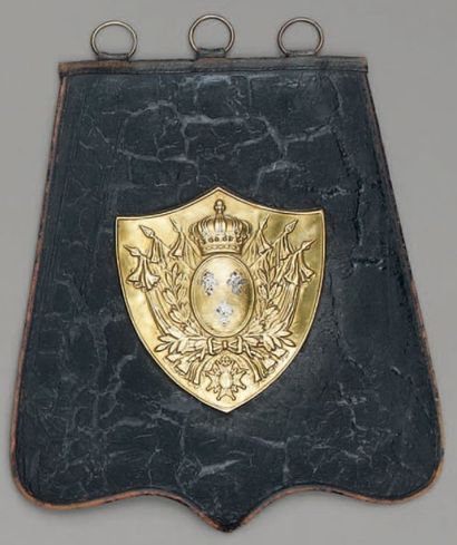 null Sabretache d'officier de hussards de la garde royale, petite tenue ; plaque...