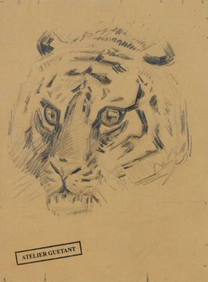 Gustave GUETANT Tête de tigre Dessin au fusain sur papier, cachet d'atelier en bas...