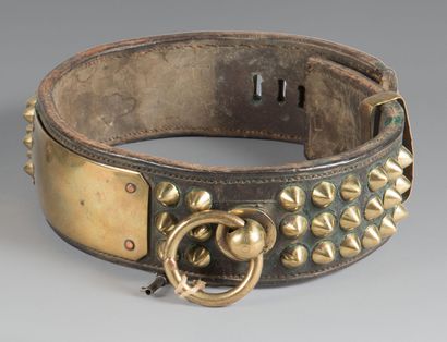 null Collier de molosse en cuir avec clous et plaque en laiton. Fermoir réglable...