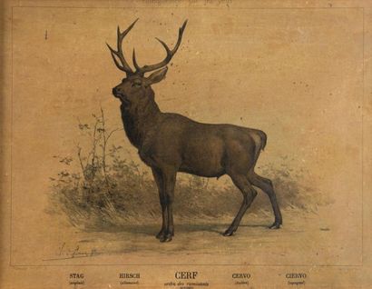 René GOURDON (1855 - ?) 
Nature morte au lièvre
Huile sur toile encadrée
Dim. 80...