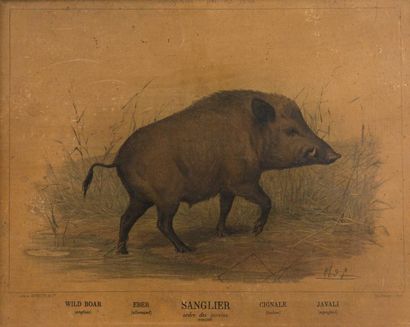 René GOURDON (1855 - ?) 
Nature morte au lièvre
Huile sur toile encadrée
Dim. 80...
