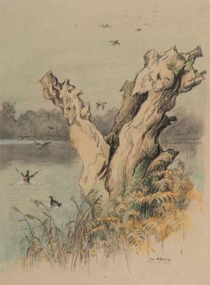 Charles Jean HALLO (1882 - 1969) 
Bord de l'étang
Fusain et pastel sur papier signée...