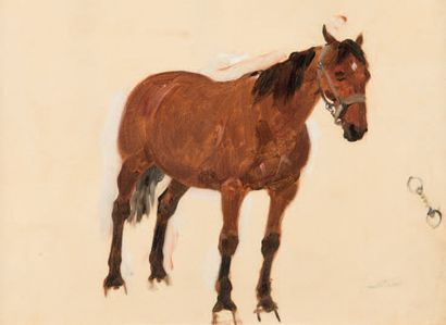 René PRINCETEAU (1844 - 1914) 
Etude de cheval
Huile sur toile, cachet de la signature...