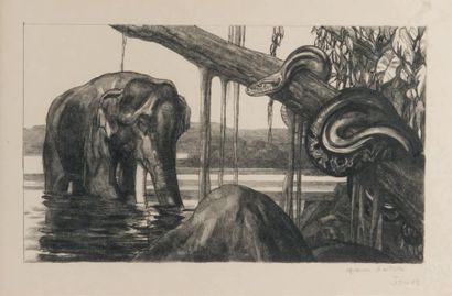 PAUL JOUVE (1878 – 1973) Eléphant et Python
Lithographie originale sur papier Japon...