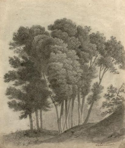 Pierre Henri de VALENCIENNES (Toulouse 1750 - Paris 1819) 
Paysage au bouquet d'arbres
Pierre...