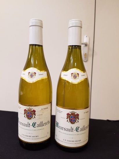 null 2 bouteilles 
MEURSAULT 
"Caillerets", JF Coche-Dury 
2003

