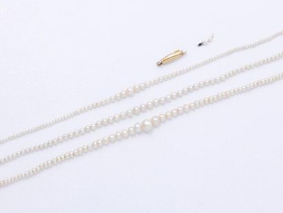 null Lot composé de 3 colliers de perles probablement fines d’environ 1.2 à 5 mm,...