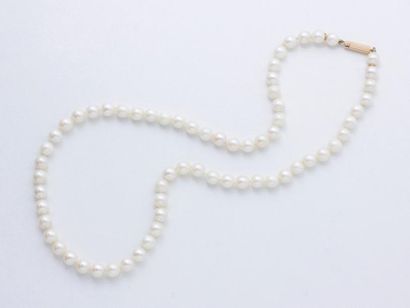 null Collier composé d’un rang de perles de culture d’environ 6.2 à 6.4 mm. Il est...