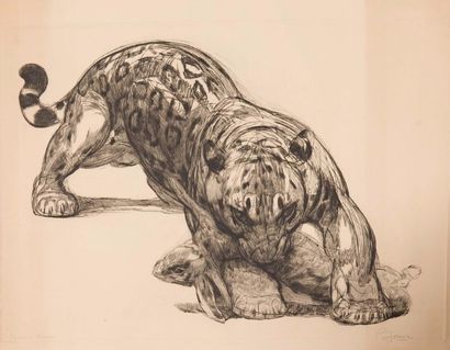 D'après Paul JOUVE (1878-1973) 
Jaguar au lièvre. 472 x 688. Eau-forte. Épreuve sur...