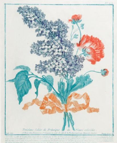 Louis Marin BONNET (1736-1793) 3e cahier de Fleurs, Branche de lilas fleurs et feuilles,...