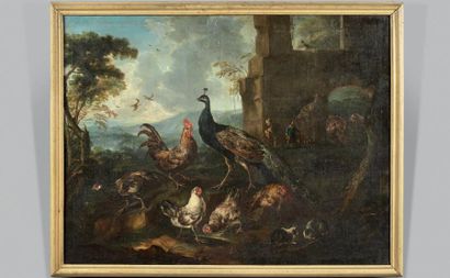 Jacopo CRIVELLI dit Il CRIVELLINO (vers 1680/90 - Milan 1760) *Gibiers
Oiseaux de...