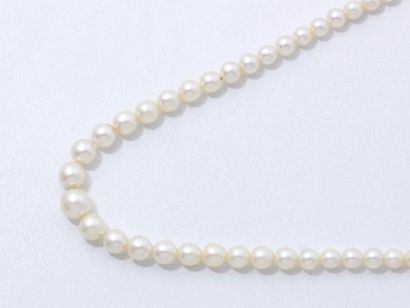 null Collier composé d'un rang de perles de culture d'environ 3.5 à 7 cm. Il est...