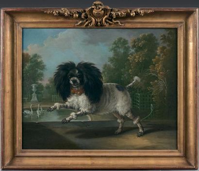 Christophe HUET (Pontoise 1700 - Paris 1759) Portrait présumé de l'un des chiens...