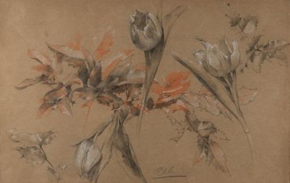 Marcelle LAMBRETTE (1899- ?) 
Etude de tulipes
Crayon, sanguine et craie, signé en...