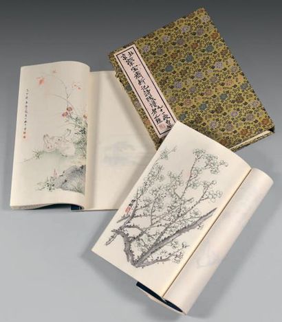 CHINE Kibashi
Deux albums d'estampes à sujets naturalistes (cheveux, oiseaux, fleurs...)....