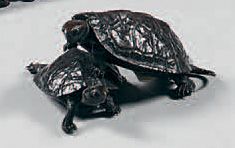 JAPON Okimono en bronze, deux tortues, l'une posée sur le dos de l'autre. Signé Suiun....