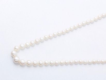 null Collier composé d'une chute de perles de culture d'environ 4.2 à 8.3 mm. Il...