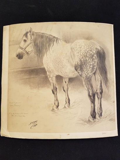FERDINAND OGER (1872 - 1929) Etude de chevaux
Deux dessins au crayon signés à l'encre...
