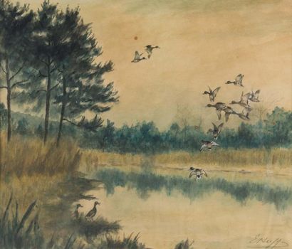 Edward HUFFER (1886-1974) Canards autour de l'étang
Aquarelle sur papier signée en...