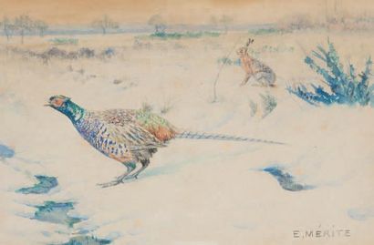 ÉDOUARD PAUL MÉRITE (1867 - 1941) Faisan et lièvre
Aquarelle sur papier signée en...
