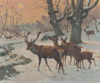 Georges Frédéric RÖTIG (1873? 1961) Harde de cerf en forêt en hiver
Huile sur toile...