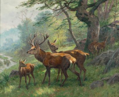 Georges Frédéric RÖTIG (1873? 1961) Harde de cerf en forêt
Huile sur toile signée...