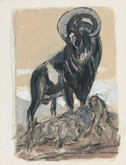 Attribué à Paul JOUVE Mouflon sur un rocher Etude à l'encre, aquarelle et gouache...