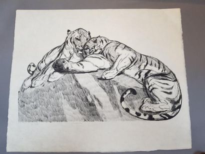 Paul JOUVE (1878 - 1973) Deux tigres au repos. 1931 Eau-forte originale sur papier...