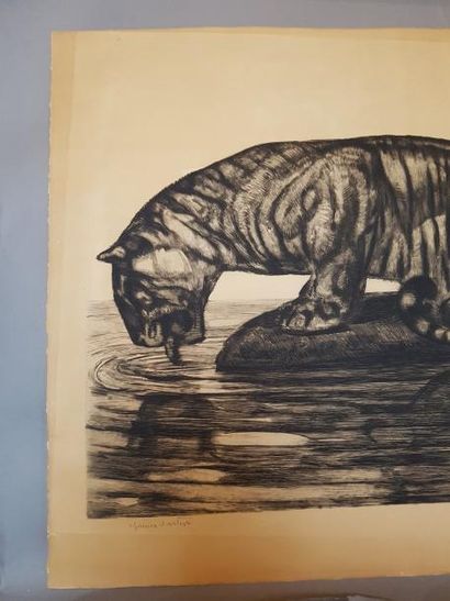Paul JOUVE (1878 - 1973) Tigre s'abreuvant 1930
Eau-forte originale sur papier Vélin,...