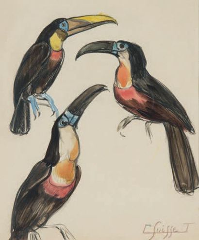 GASTON SUISSE (1896-1988) Toucans
Aquarelle signée en bas à droite
Dim. 28,5 x 23...