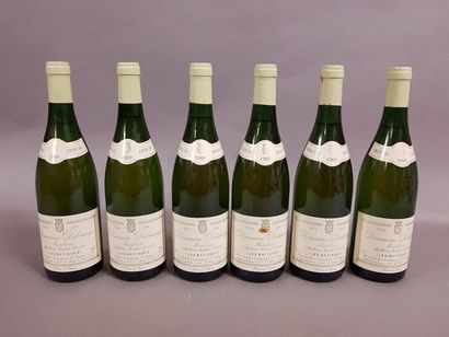null 6 bouteilles MONTLOUIS «Les Batisses,», Deletang 1989 (demi-sec)