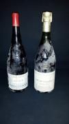 null Ensemble de 2 magnums 1 magnum SAUMUR-CHAMPIGNY Maurice Bonnamy (es, et) 1 magnum...