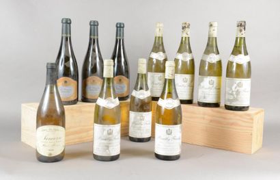 null Ensemble de 11 bouteilles 3 bouteilles SANCERRE «La Bourgeoise», Henri Bourgeois...