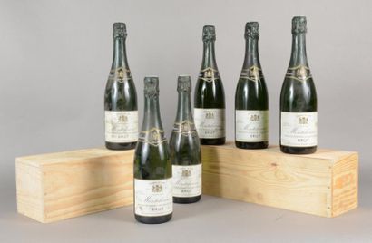 null 6 bouteilles CREMANT LOIRE Montcheaux (es)