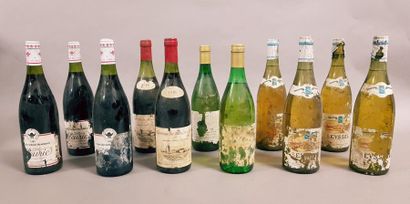 null Ensemble de 12 bouteilles VINS DIVERS (Beaujolais, Savoie...)