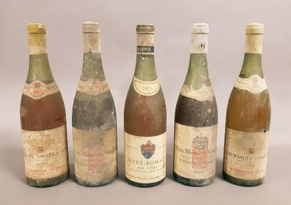 null Ensemble de 5 bouteilles 2 bouteilles CLOS BLANC DE VOUGEOT, L'Héritier Guyot...