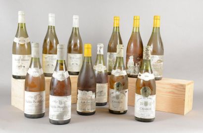 null Ensemble de 12 bouteilles 2 bouteilles CHABLIS «Vau de Vay», Domaine de l'Eglantière...