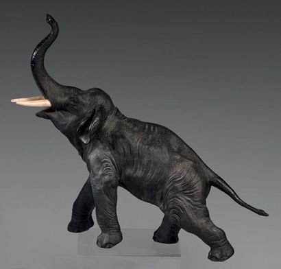 JAPON - Epoque MEIJI (1868 - 1912) Eléphant marchant en bronze à patine brune, la...