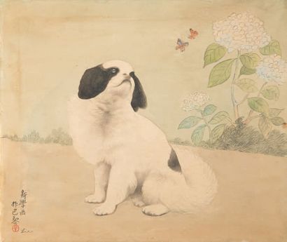 Liao Xinxue (?-1958) Encre sur soie, chiot regardant deux papillons.
Signé Xinxue...