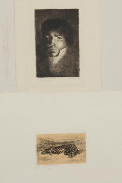 null 108 Eugène DELACROIX (1798 - 1863)
Tigre couché dans le désert - portrait de...
