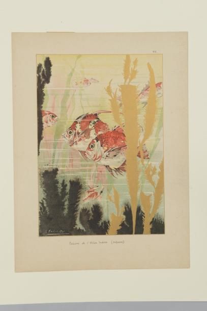 null 121 Jules - Auguste HABERT DYS (1850 ?)
Algues et poissons.
Série des 8 planches...