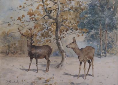 Maurice BEDEL (1827- 1896) Cerf et biche en sous bois Aquarelle sur papier signée...